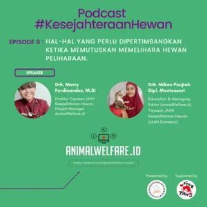 Apa Yang Harus Kita Perhatikan Ketika Memelihara Hewan Peliharaan